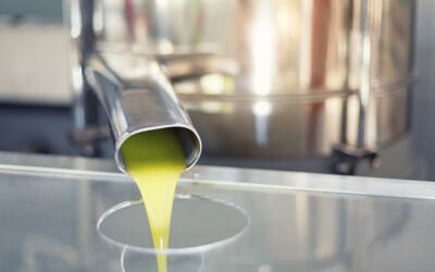 Operativo el sistema informatizado para registrar los movimientos de aceite de oliva