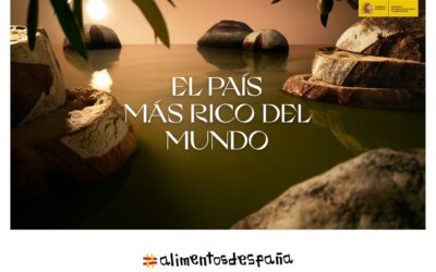 RT by @ManzanillaOlive: ¿Sabías que España es el principal productor de aceite de oliva del mundo? Su sabor y calidad es inigualable, y añade un toque único a cualquier plato. Si no has probado el aceite de oliva español, ¿a qué esperas? #ElPaísMásRicoDelMundo #AlimentosdEspaña @Alimentacion_es