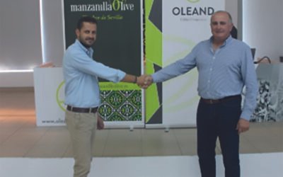 Unirse para crecer en el sector de la aceituna de mesa