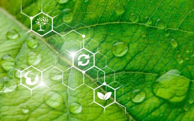La inteligencia artificial al servicio de los agricultores y la industria agroalimentaria españoles