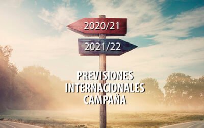 Previsiones iniciales de campaña en los principales países productores
