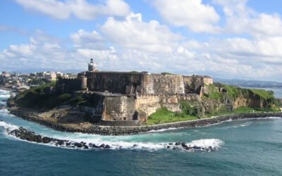 ¿Qué oportunidades ofrece el mercado de Puerto Rico a las empresas españolas de aceite de oliva?
