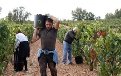 Agricultura fue la actividad donde más porcentualmente descendió el paro en septiembre