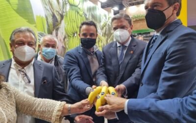 El MAPA habilitará en breve 20,8 M€ para ayudar al sector agrario y pesquero de La Palma