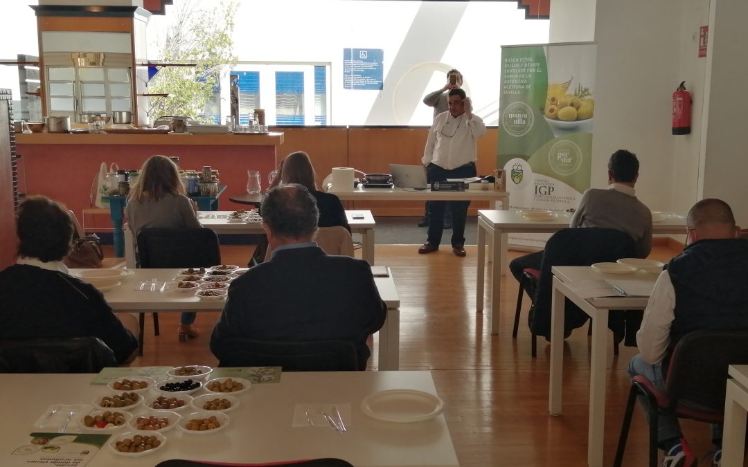 Finaliza con éxito el I Curso de Formador de Catadores de Aceitunas de mesa.