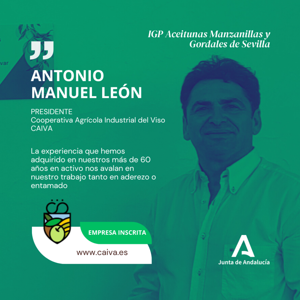 Antonio Manuel León, presidente de CAIVA, cooperativa de aceitunas Manzanilla y Gordal de Sevilla
