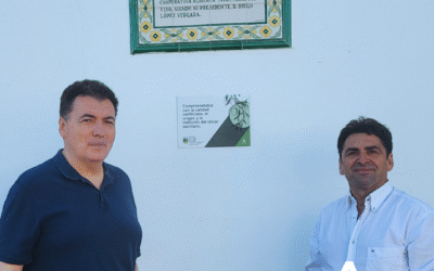 CAIVA y las aceitunas Manzanilla y Gordal de Sevilla: una tradición que perdura