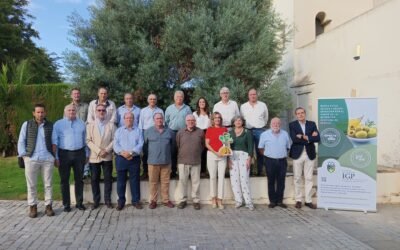 Unidad y compromiso con la defensa del origen: el nuevo Pleno del Consejo Regulador de las IGP Aceitunas Manzanilla y Gordal de Sevilla inicia su andadura.