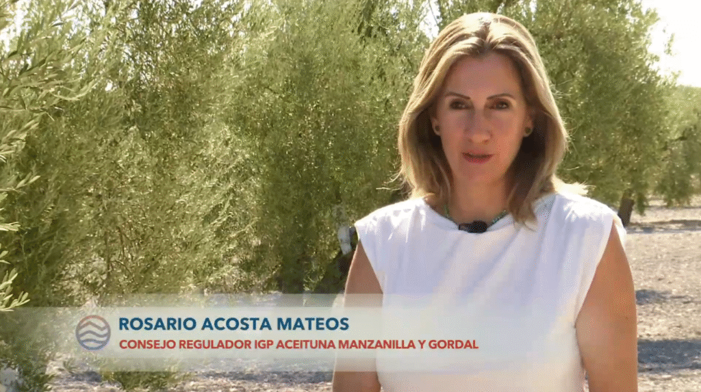 Sevilla y el orgullo del verdeo: la aceituna sevillana protagonista en "Tierra y Mar" 1 Rosario Acosta secretaria general del consejo regulador de la aceituna sevillana