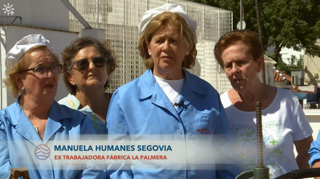 Sevilla y el orgullo del verdeo: la aceituna sevillana protagonista en "Tierra y Mar" 7 Sevilla y el orgullo del verdeo: la aceituna sevillana protagonista en "Tierra y Mar" 6