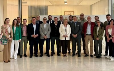 Origen, calidad e inteligencia artificial: las IGP Aceitunas Manzanilla y Gordal de Sevilla participan en la Asamblea Anual de CADO