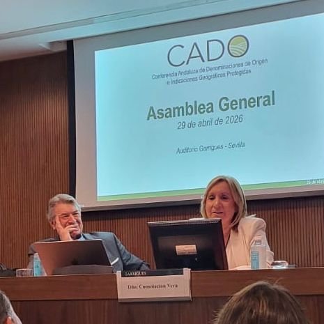 Origen, calidad e inteligencia artificial: las IGP Aceitunas Manzanilla y Gordal de Sevilla participan en la Asamblea Anual de CADO 2