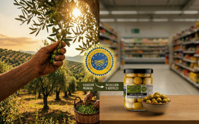 Del olivar al supermercado: cómo llega la aceituna Manzanilla de Sevilla con IGP a tu mesa