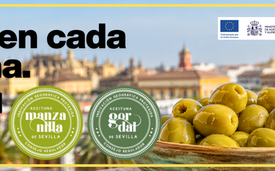 El Consejo Regulador lanza la campaña nacional “Sevilla en cada Aceituna” para proteger y poner en valor el legado del campo sevillano