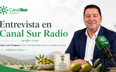 Entrevista Juan Luis Oropesa en Canal Sur: 5 claves sobre las Aceitunas Manzanilla y Gordal de Sevilla