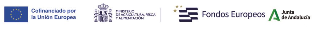 El Consejo Regulador lanza la campaña nacional “Sevilla en cada Aceituna” para proteger y poner en valor el legado del campo sevillano 5