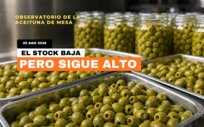 Existencias de aceituna de mesa: el stock baja en julio, pero la presión no desaparece