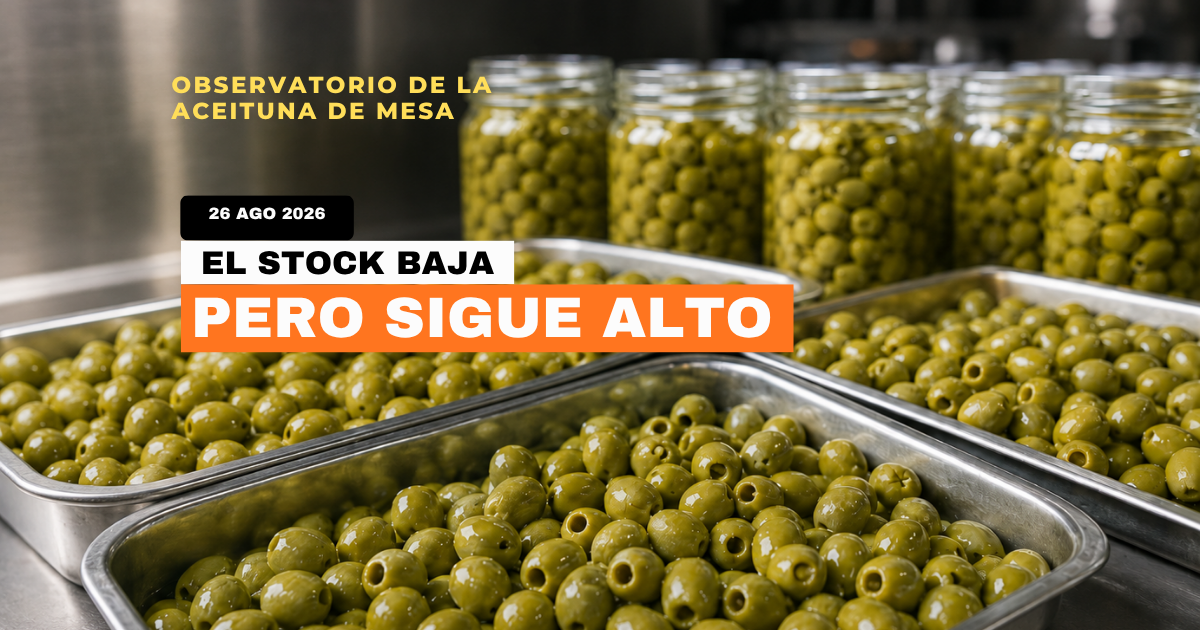 Existencias de aceituna de mesa en bandejas y tarros dentro de una industria de elaboración.