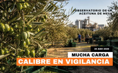 Verdeo 2026 en Sevilla: mucha carga, calibre bajo vigilancia y costes al alza