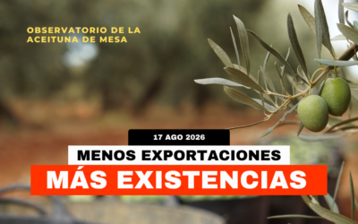 Mercado de la aceituna de mesa: menos exportaciones y más existencias al final de campaña