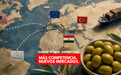 La aceituna de mesa española ante un nuevo mapa comercial: Estados Unidos, Mercosur y competidores que ganan terreno