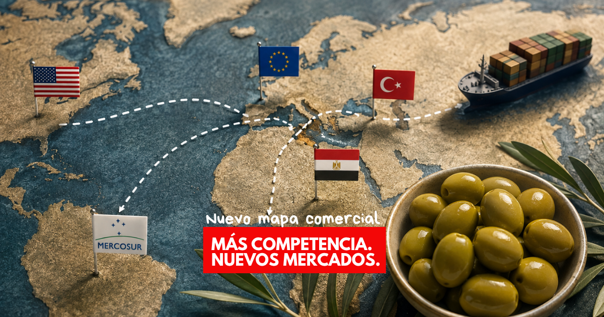 Comercio internacional de la aceituna de mesa representado mediante un mapa mundial, aceitunas y rutas comerciales.