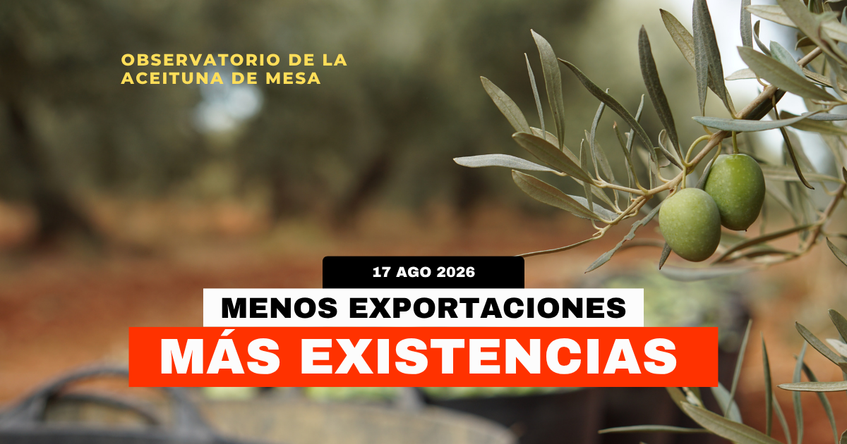 Portada del Observatorio de la Aceituna de Mesa del 17 de agosto de 2026: menos exportaciones y más existencias.