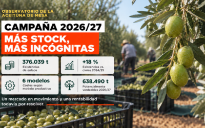 Campaña de aceituna de mesa 2026/27: más stock, costes y un verdeo todavía abierto