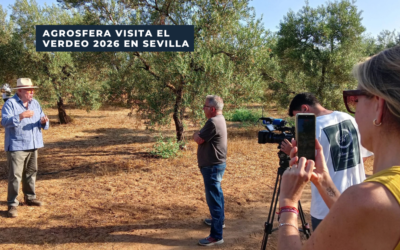 Agrosfera pone el foco en el verdeo 2026 y la campaña de aceituna de mesa en Sevilla