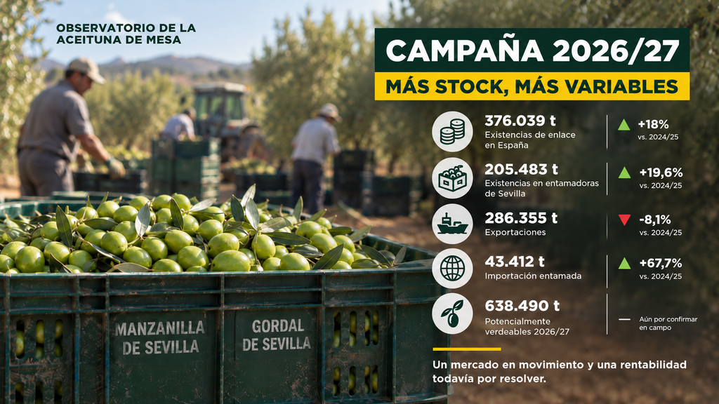 Campaña de aceituna de mesa 2026/27 con datos de existencias, exportaciones, importaciones y potencial verdeable en España y Sevilla.